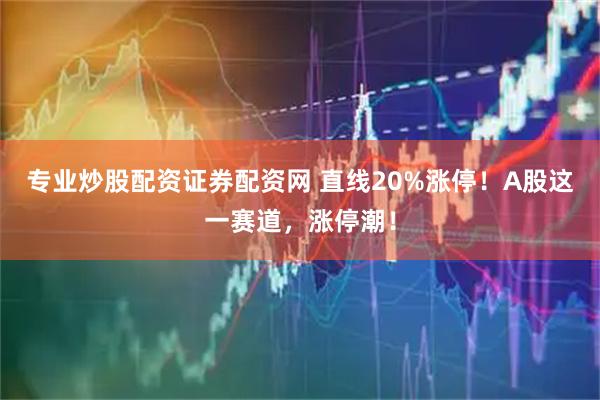 专业炒股配资证券配资网 直线20%涨停！A股这一赛道，涨停潮！