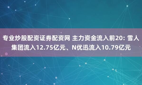 专业炒股配资证券配资网 主力资金流入前20: 雪人集团流入12.75亿元、N优迅流入10.79亿元